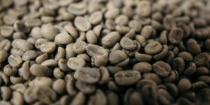 コーヒー 焙煎 自宅 生豆a